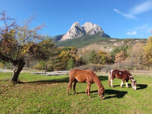 Ruta a caballo en Pedraforca