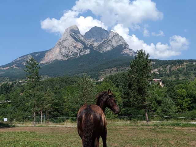 Rutas a caballo con vistas al Pedraforca