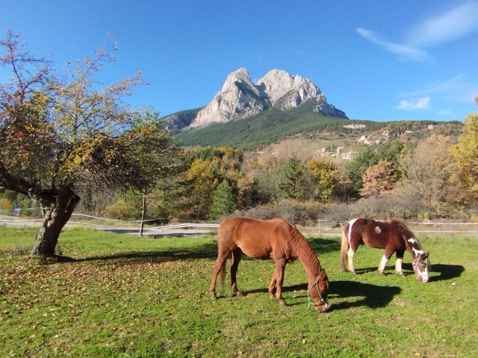 Ruta a caballo en Pedraforca