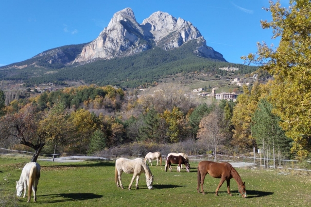 Hípica a las faldas del Pedraforca