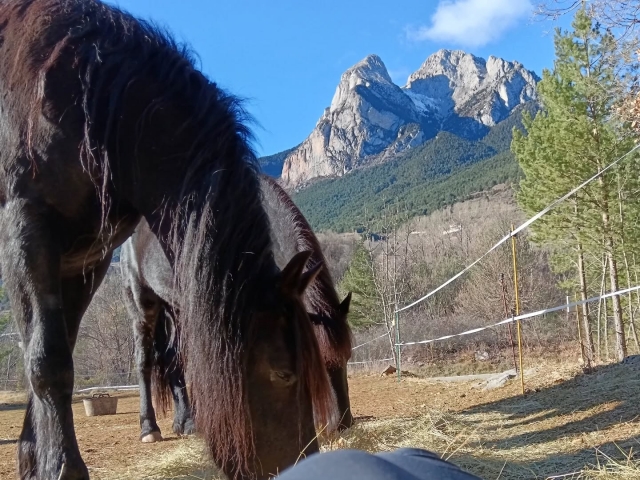 Cabalgamarra en pareja