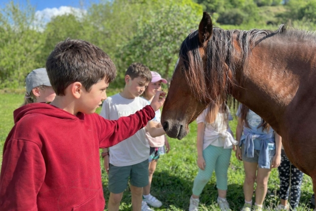 Appreciating the horses 