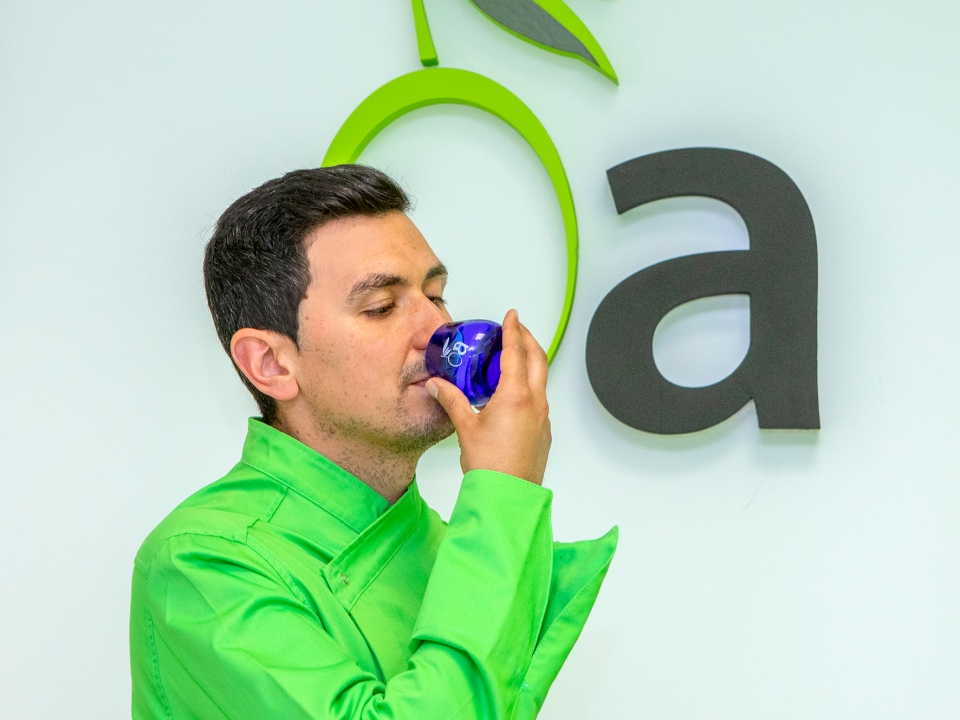 Masterclass de degustação EVOO 