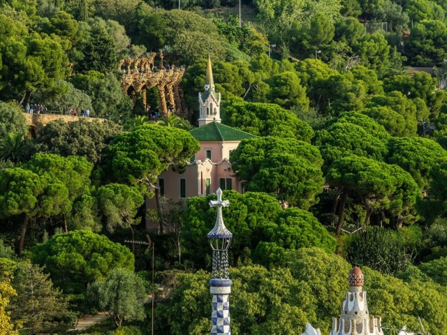 Parque en la Sierra de Collserola