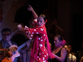 Jantar com show de flamenco em Valência, 3 horas