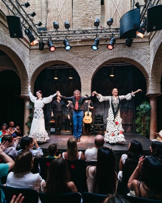 Spectacle au Musée de la Danse Flamenco, 1 heure