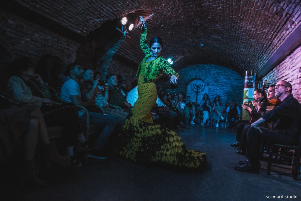  Spectacle de flamenco à Séville 