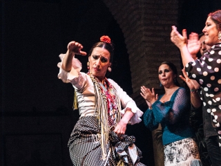 Espetáculo de Flamenco + Museu de Dança Flamenca 2h