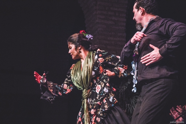  Espetáculo de flamenco em Sevilha