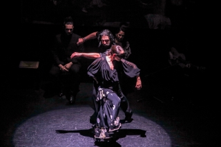 Show de flamenco em Triana, 1 hora