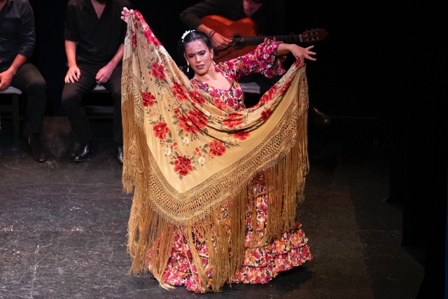  Arte flamenca 