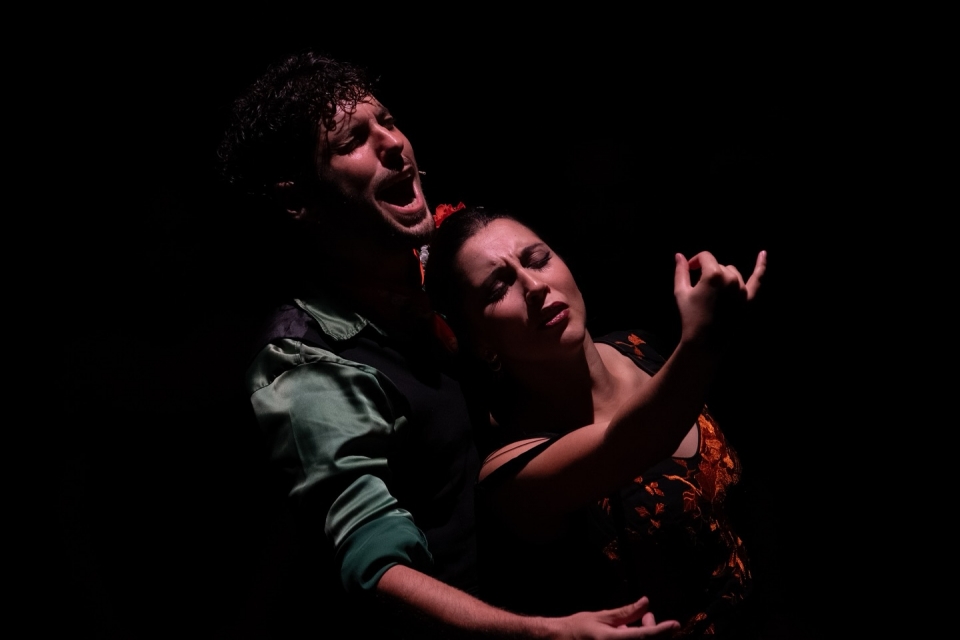  Triana Teatro Flamenco 