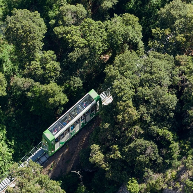 Tren con amplios ventanales