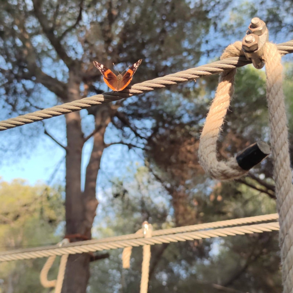  Tirolesas na Catalunha 