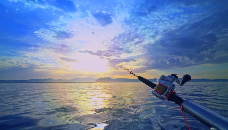 Pescando en la Costa Blanca