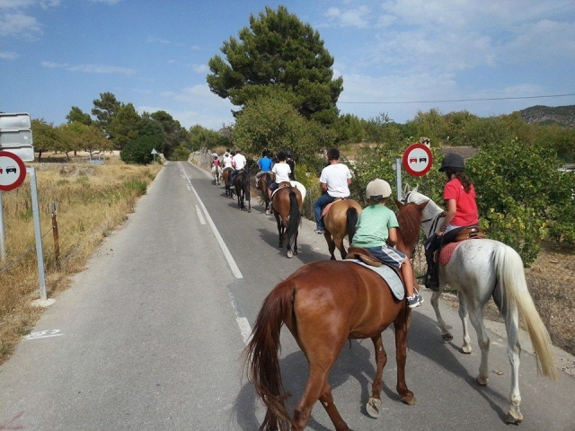 Partiendo con los caballos desde la carretera