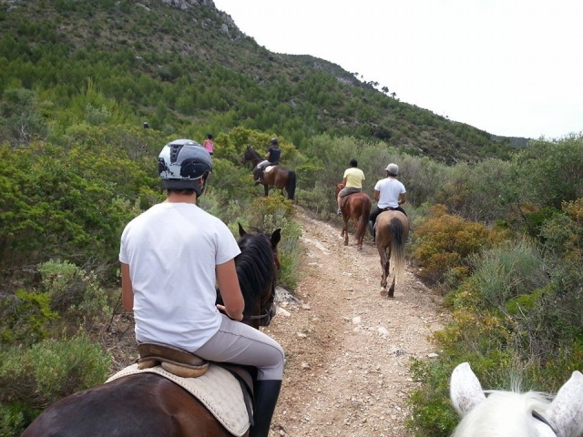 Ruta ascendente con los caballos
