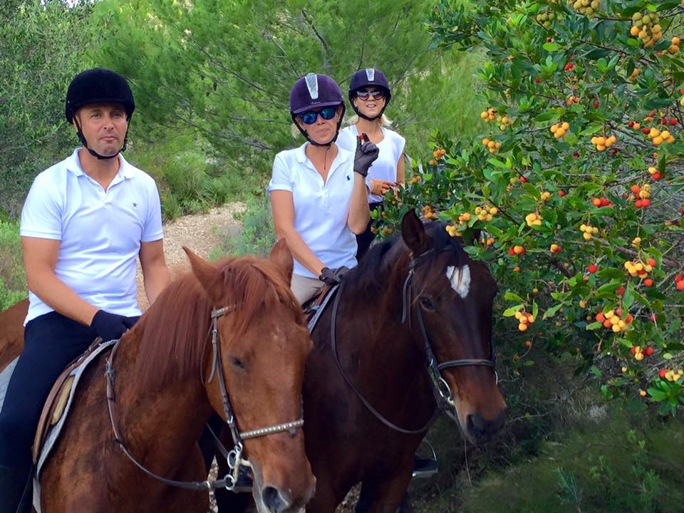 Cogiendo el fruto de un arbol