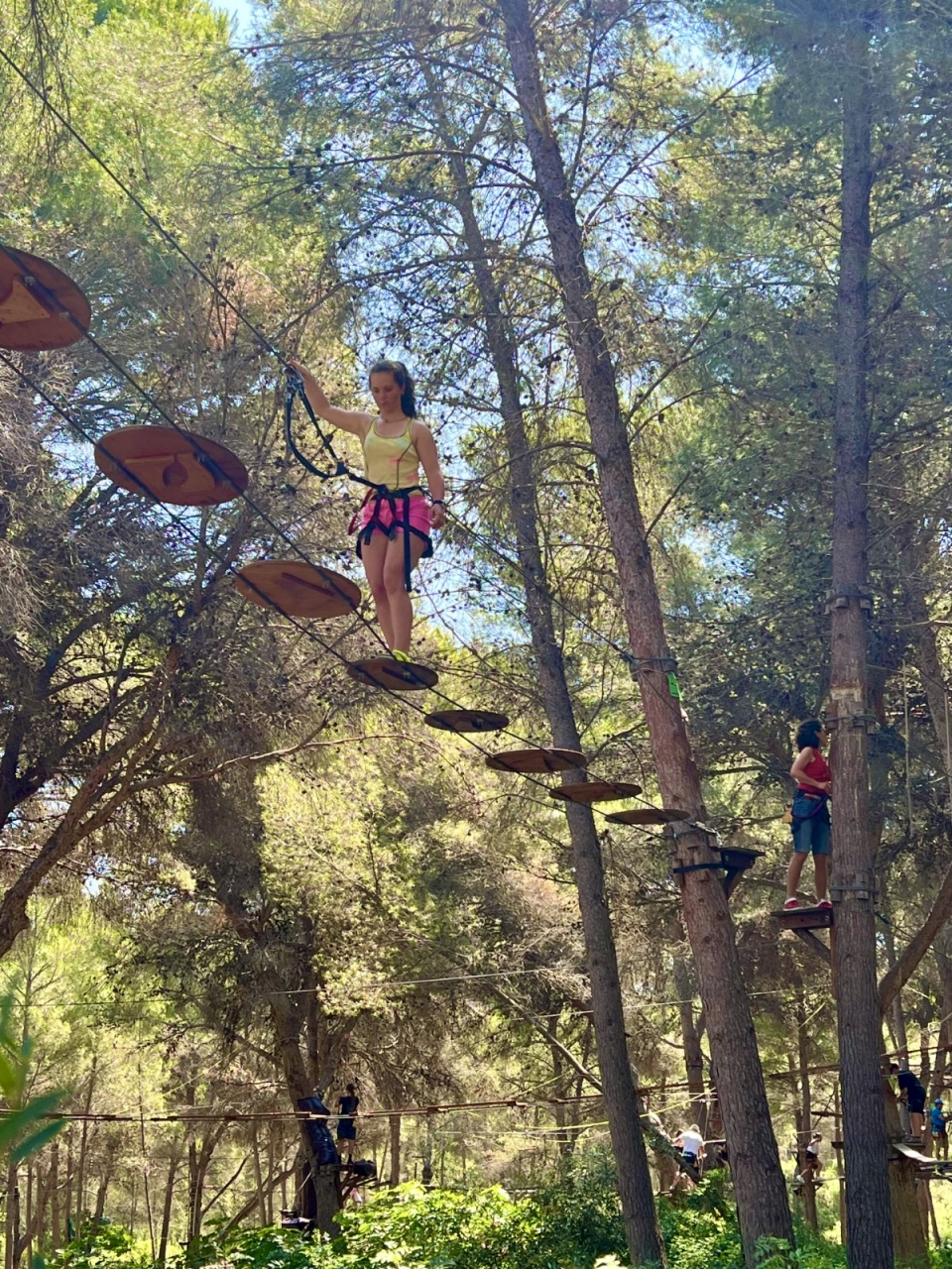 Arborismo en Mallorca