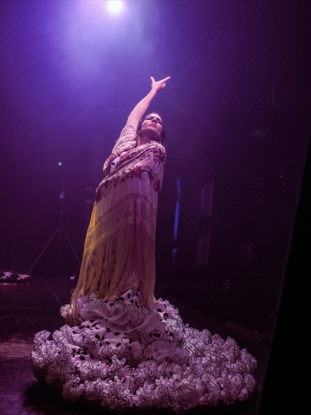  Flamenco show in Barcelona