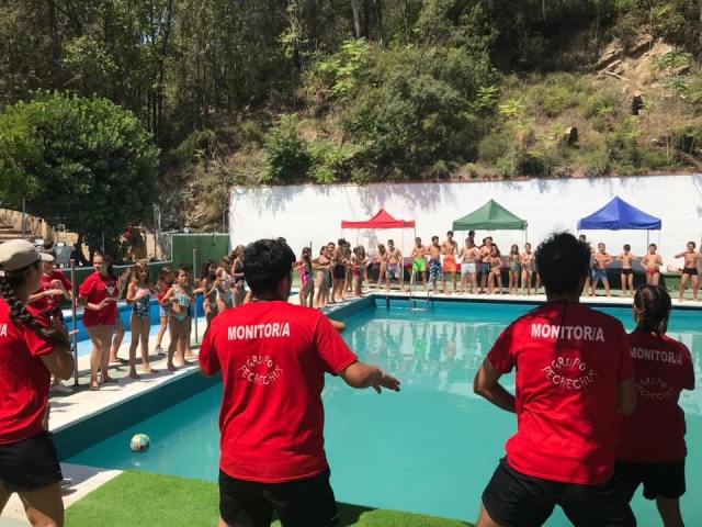  Instructors in the pool 