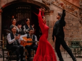 Espectáculo flamenco en el Palau Dalmases, 1 hora
