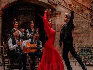 Espectáculo flamenco en el Palau Dalmases, 1 hora
