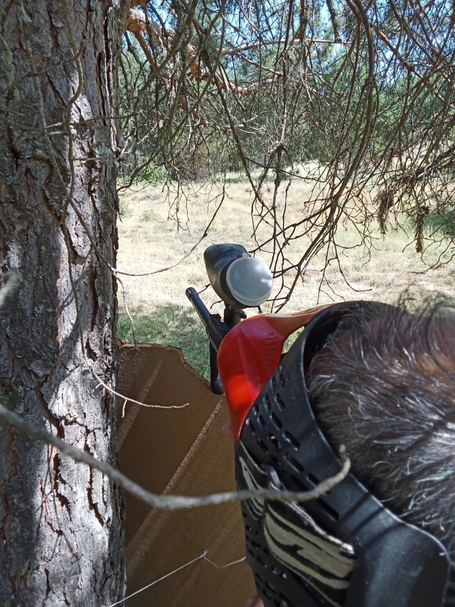 Escondete tras los arboles