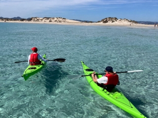 Alquiler kayak individual desde Playa Illetas, 1h
