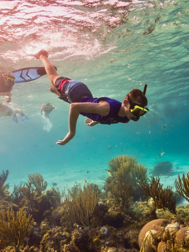 Esplora Formentera facendo snorkeling 