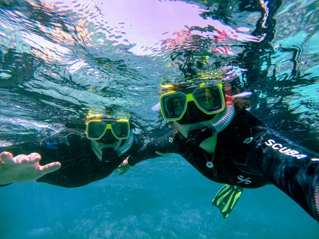Tour di snorkeling, Parco Naturale di Ses Salines, 2:30h