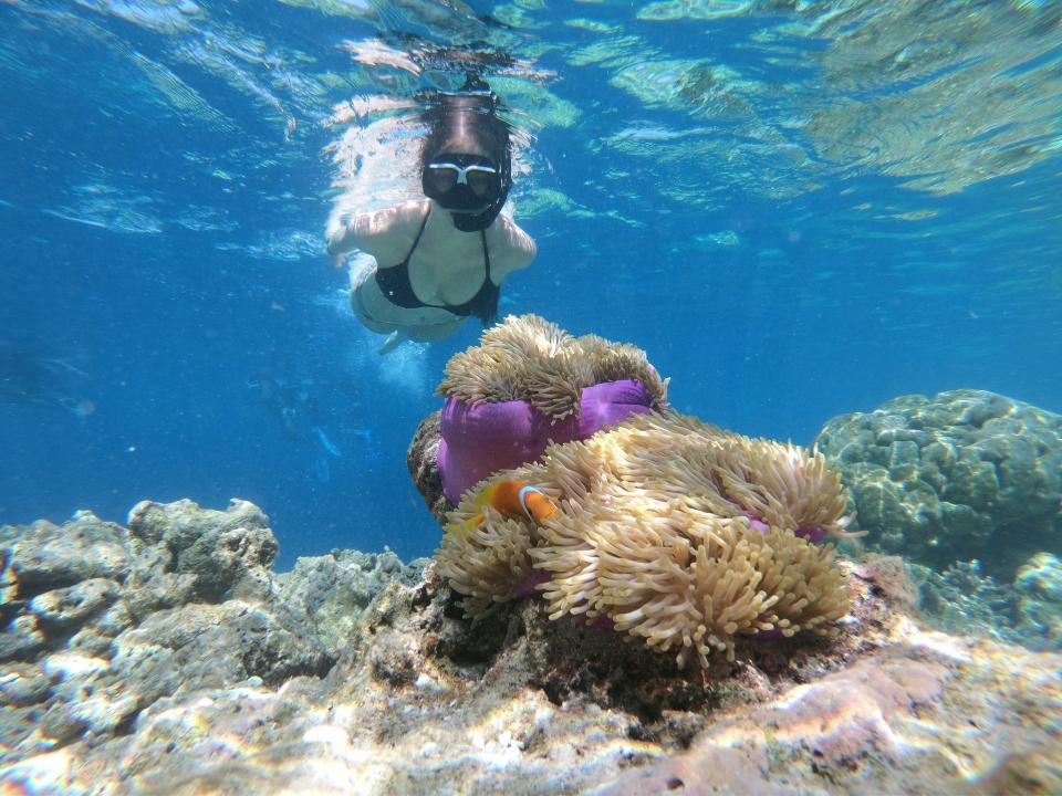  Scopri la Posidonia di Formentera