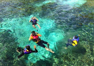 Snorkeling tour from Son Xoriguer beach 1h