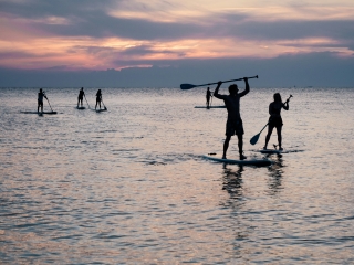 SUP al amanecer + desayuno Playa Les Marines, 1'5h