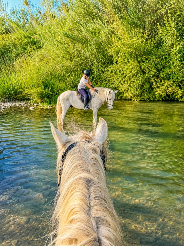  Mit Pferden durch das Wasser 
