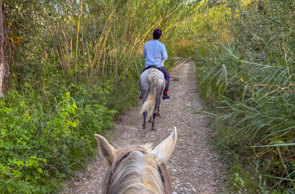  Reitroute in der Nähe von Benidorm