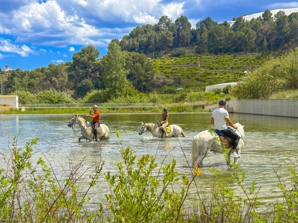 Reitroute in Alicante 
