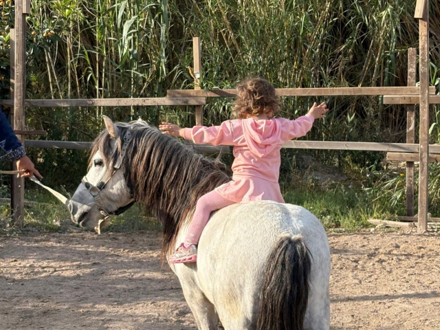 Ponyreiten entlang der Costa Blanca im Landesinneren, 1 Stunde