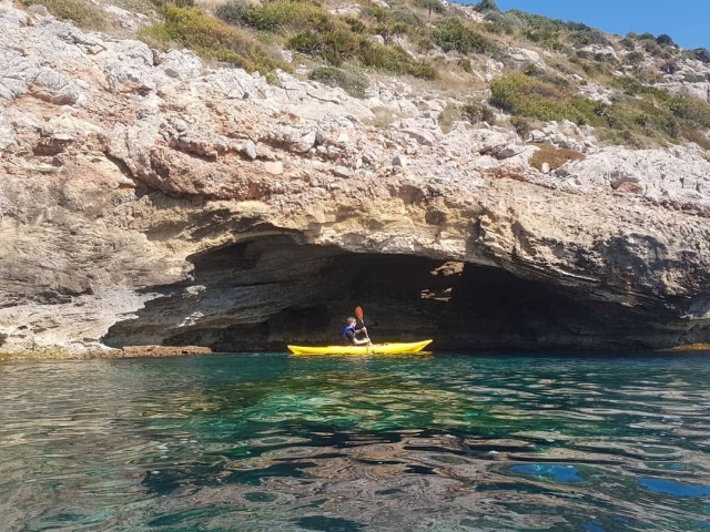 Alquiler de kayak individual en Alcúdia, 3 horas