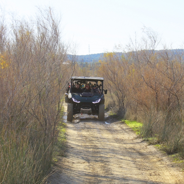 Buggies de 3 plazas por Torrevieja