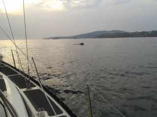 Private sailing trip Rias Ares Betanzos Ferrol 6h