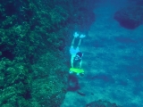 Motor snorkeling Cabo de Palos Marine Reserve, 1h15