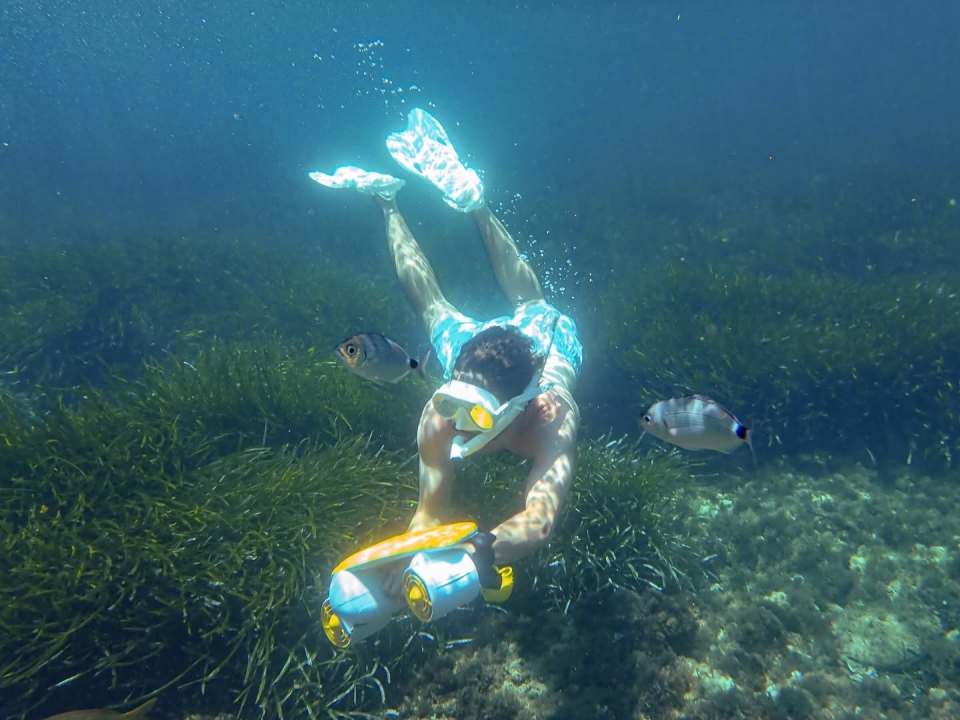 Actividad de Snorkel en Murcia 