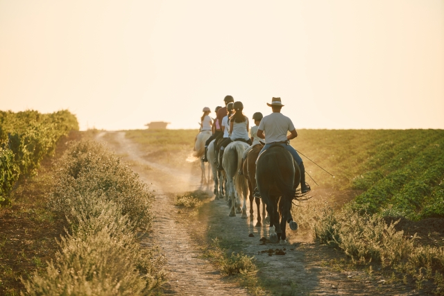 Cabalga a lomos de un caballo en Sanlúcar