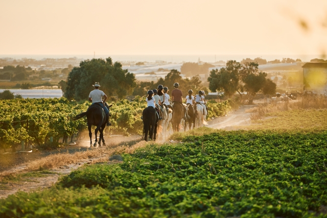 Conoce Sanlúcar de Barrameda subiendo a caballo
