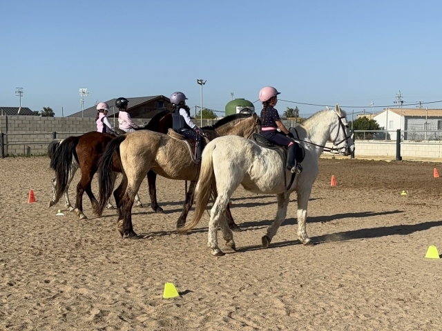 Cursos de equitación en Sanlúcar