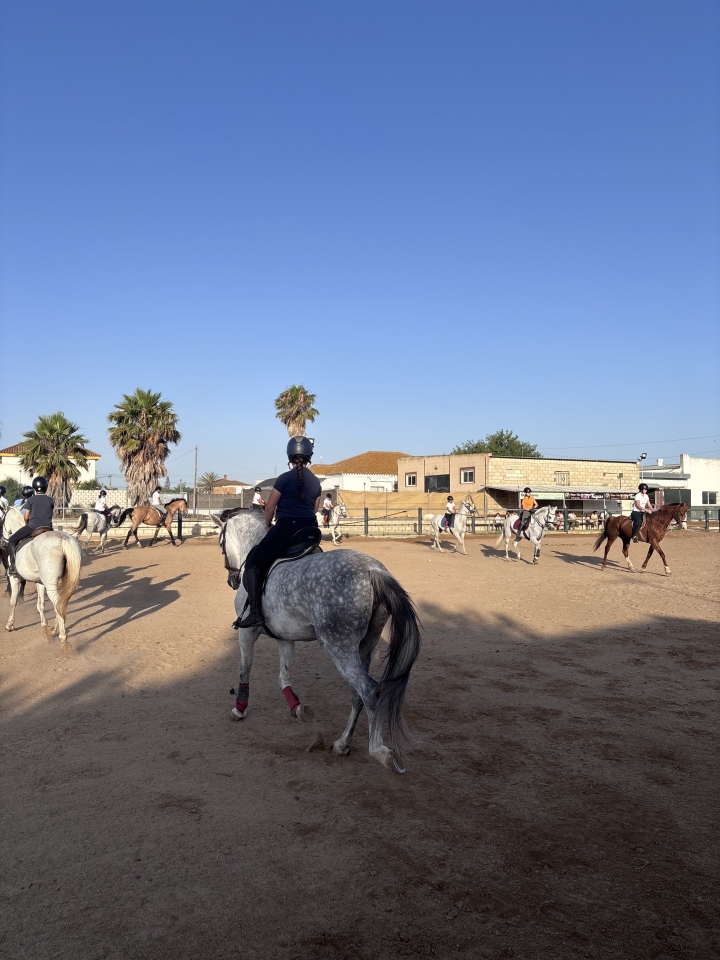 Aprende a subir a caballo
