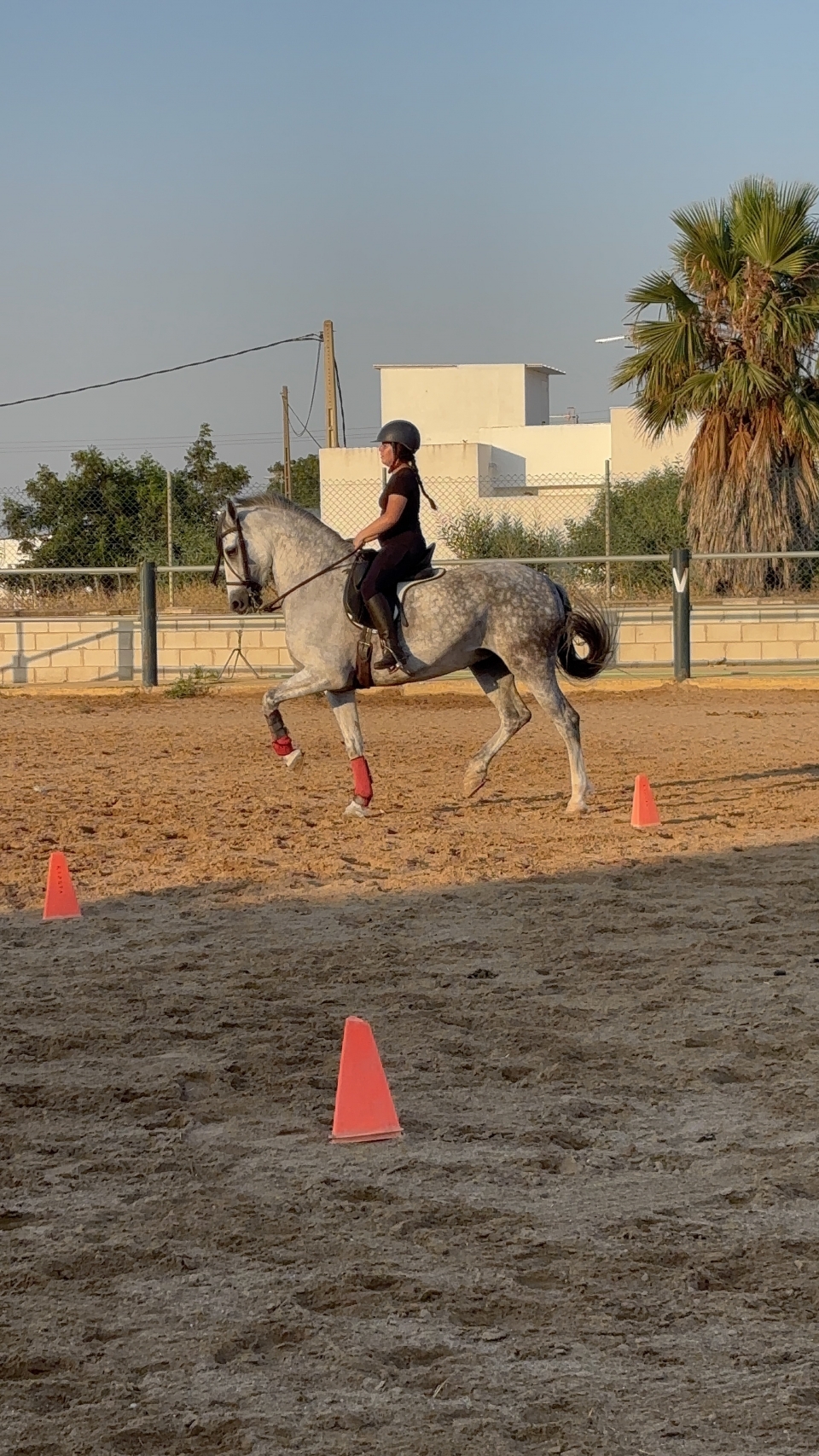 Aumenta tus habilidades subiendo a caballo