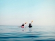 Kayak Rental  Castelldefels
