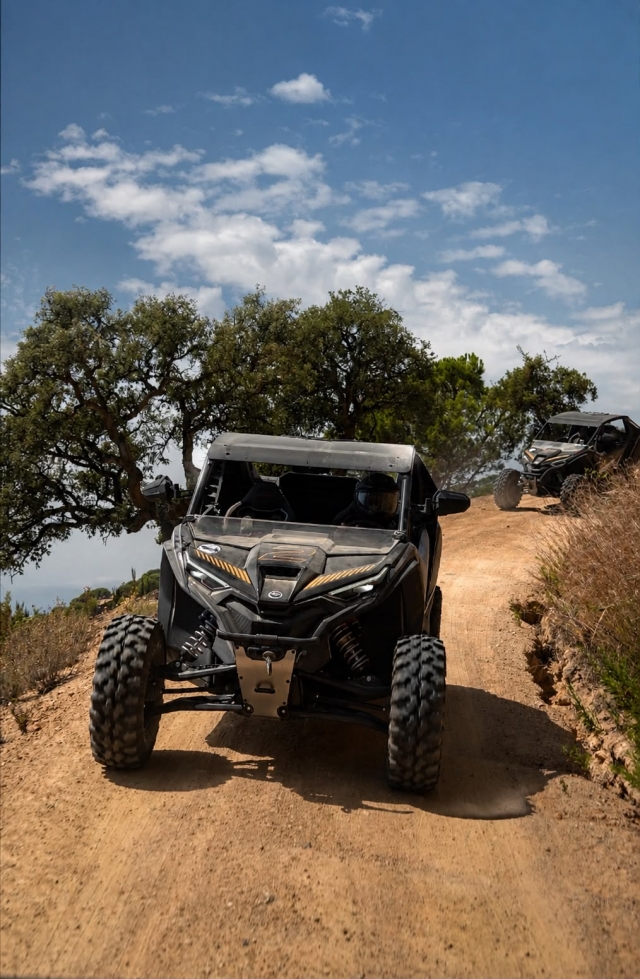  Two-seater buggies along the coast 